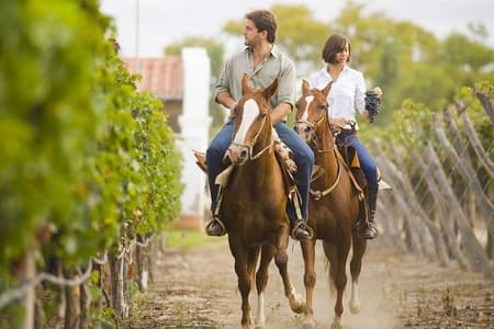 Horseback Riding in Mendoza through the vineyards and river with optional Asado.