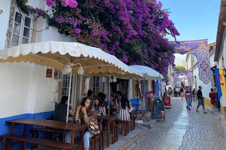 Visita guiada de Lisboa a Fátima/Batalha/Nazare & Obidos 8pax grupo