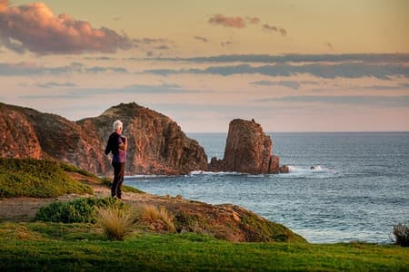 Full-Day Phillip Island Tour with Kangaroo, Koala and Penguin Parade