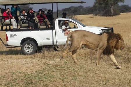 Hwange Park Big 5 Game Drive!