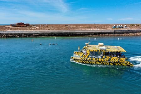 Boat trip from Faro to Ilha Deserta by Ferry