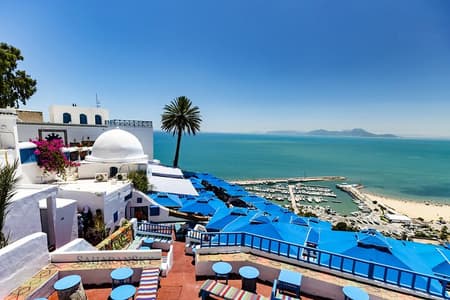 Cartago, Museo del Bardo, Sidi Bou Said y Medina Tour privado de un día