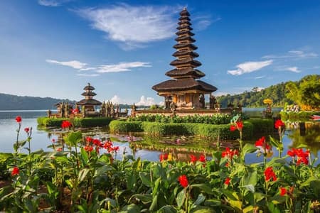 Excursão privada de um dia inteiro ao norte de Bali com acesso Wi-Fi gratuito