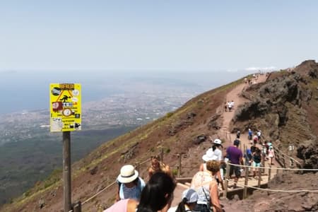 Mount Vesuvius tour by bus and ticket included from Ercolano