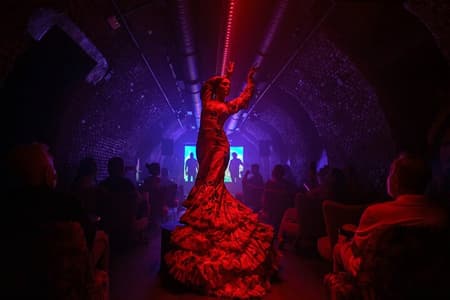 Intimate Flamenco Show & Spanish Drink in Madrid at La Carmela