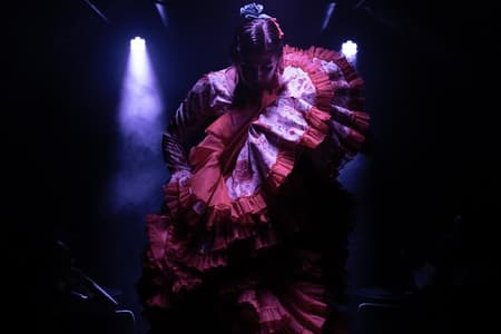 Intimate Flamenco Show & Spanish Drink in Madrid at La Carmela