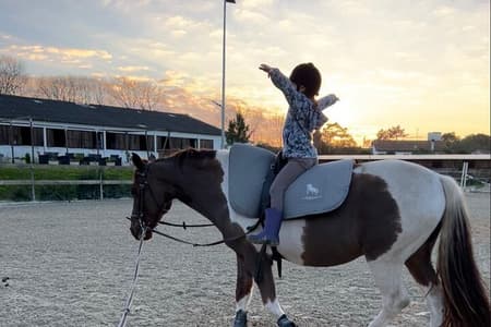 Batismo a Cavalo em Aveiro - Ílhavo
