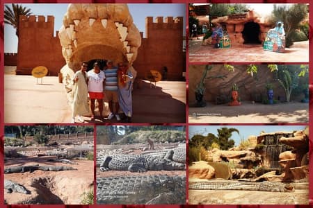 Reis naar Croco Park