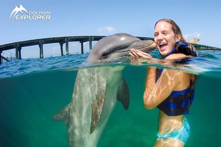 Nager avec les dauphins à Punta Cana – Top Aventure