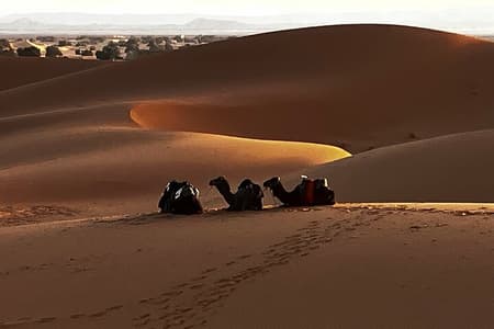Fes: Beste Fez naar Marrakech via Merzouga Desert Dunes, 3-daagse tour
