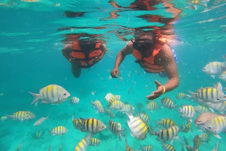 Half-Day Snorkeling Cruise and Natural Pool with Open Bar