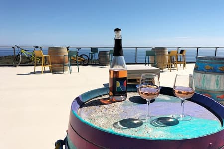 E-bike tour with Wine Tasting at Tenuta delle Ripalte