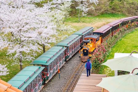 Private Tagestour zur Insel Jeju – Süden von Jeju