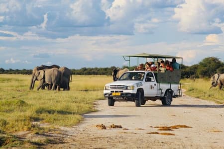 Safari in Etosha national park with professional tour guides born in Etosha.