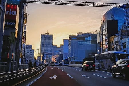 Tour privado en autobús por Tokio Shinjuku con guía certificado