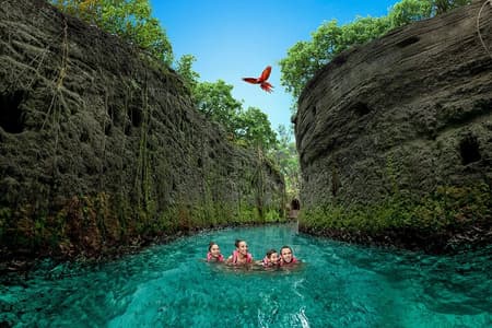Xcaret Park Day Trip, transportation and Cultural Night Show