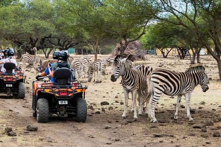 Private Wild SOUTH WEST COAST : Casela with Tulawaka & Safari