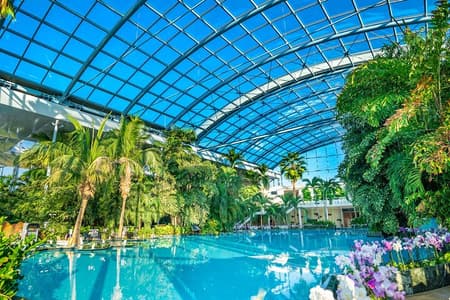 Therme Bucuresti : Entrada y Traslado