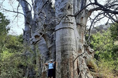 From Praia, Baobab Mysterious Tree, Green Valley & Old City Hike