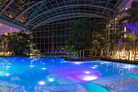 Relax e divertimento alle Terme di Bucarest (biglietto d'ingresso)