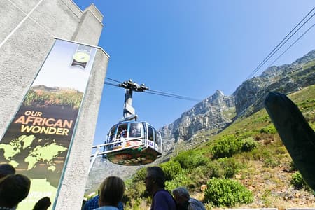 Hotell i nærheten av Table Mountain, Penguins & Cape Point Small Group Tour