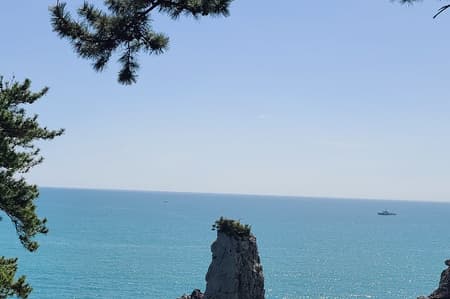 Jeju island private DAY Tour - South of Jeju