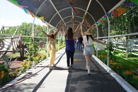 Visite du lac Chapala, VILLE MAGIQUE d'Ajijic de Guadalajara