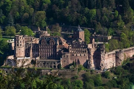 Excursión de un día al castillo y la ciudad de Heidelberg desde Frankfurt