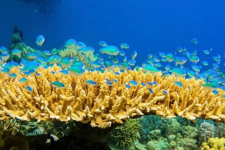 Rangko Cave & Beach Snorkeling Half Day Sharing Trip Labuan Bajo