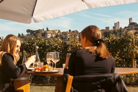 Cata privada de vinos y aceite de oliva virgen extra