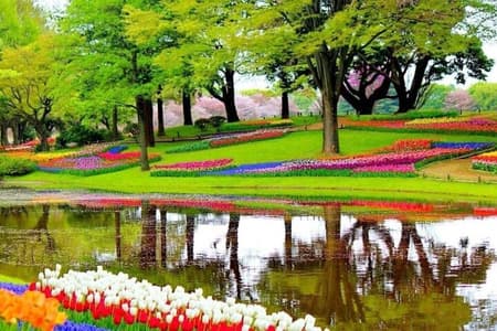 Giro turistico privato di Amsterdam al Keukenhof