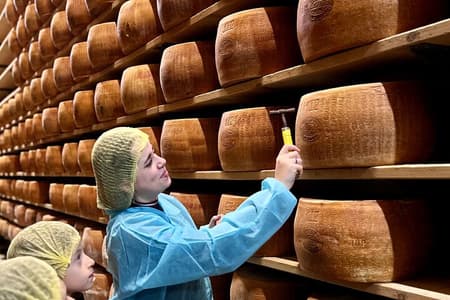 L'arte del Parmigiano Reggiano e del vero Aceto Balsamico