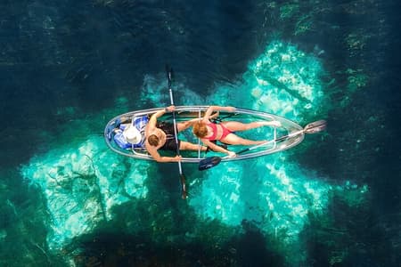 Silver Springs: Clear Kayak Wildlife Adventure