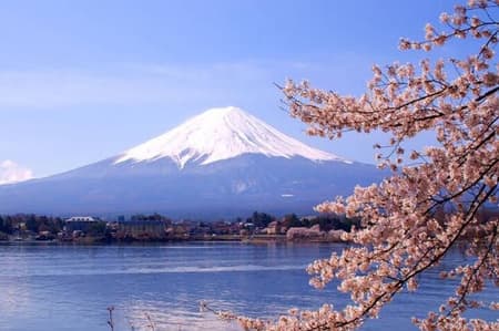 Mt Fuji Sightseeing tour with English-speaking Guide Driver