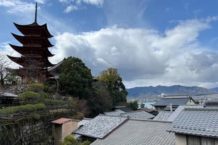 Hiroshima Private Guided Tour from Osaka or Kyoto