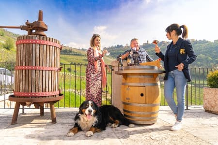 Valpolicella Grand tour : Amarone focus, 2 Cantine con Pranzo