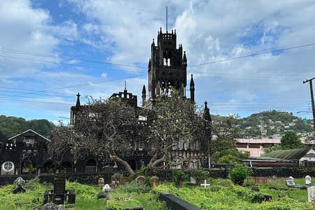Kingstown, Botanische Gärten, Fort Charlotte und Strand mit Topdawg Taxi und Touren