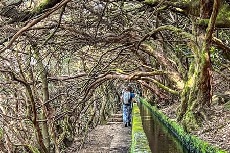 Rabaçal 25 Fontes Levada Walk in Small Groups