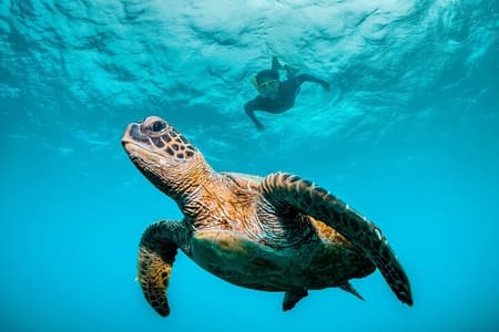 Huatulco Ocean Adventures