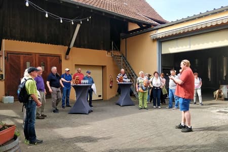 Visit and tasting of wines and cheese and charcuterie platter