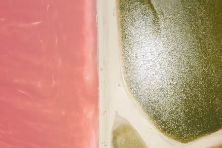 Safari à Rio Lagartos, Coloradas et bain maya