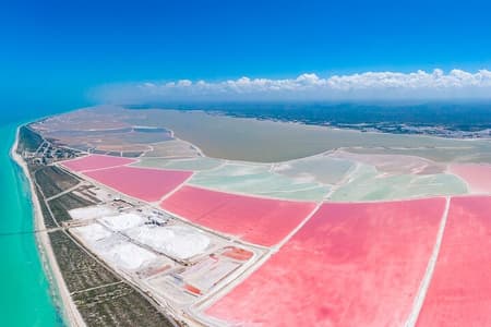 Tour Las Coloradas, Río Lagartos y Playa Cancunito desde Mérida