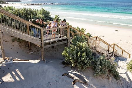 Kangaroo Island in a Day Tour from Adelaide