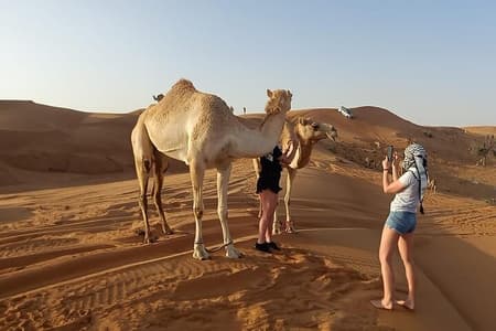 Private Wüstensafari am Morgen in Dubai mit Dune Bashing und Sandboarding