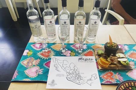 Descubre Mexico atraves de sus agaves y degusta sus cocteles
