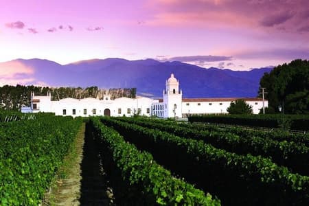 Tour a Cafayate desde Salta