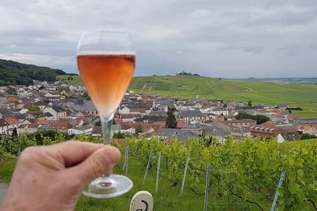 Champagne Tour de Paris de minivan com Reims Cellars e degustação de champanhe
