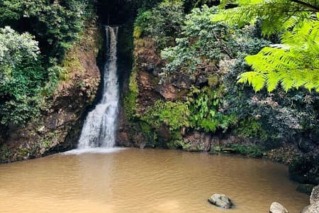 Private South Tour Visit To Vallee Adventure Park Including Lunch
