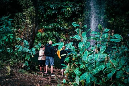Full Day Jeep Safari East - Pico do Areeiro - Santana - Ponta de são Lourenço