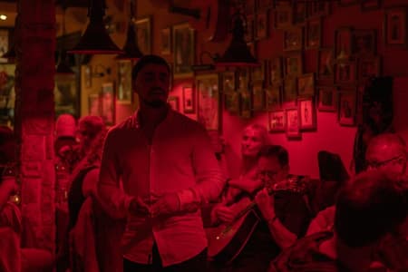 Lisbon Fado Experience: Walking Tour, Dinner and Live Music Show